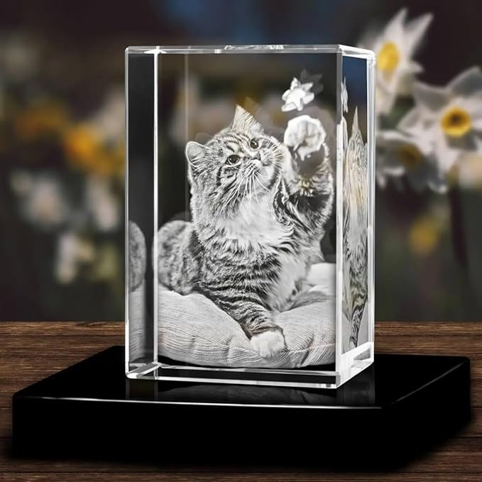 Shayona Personalized 3d Engraved Crystal Photo,Personalized Laser Etched Picture Crystal Cube, Custom Photo Glass Cube