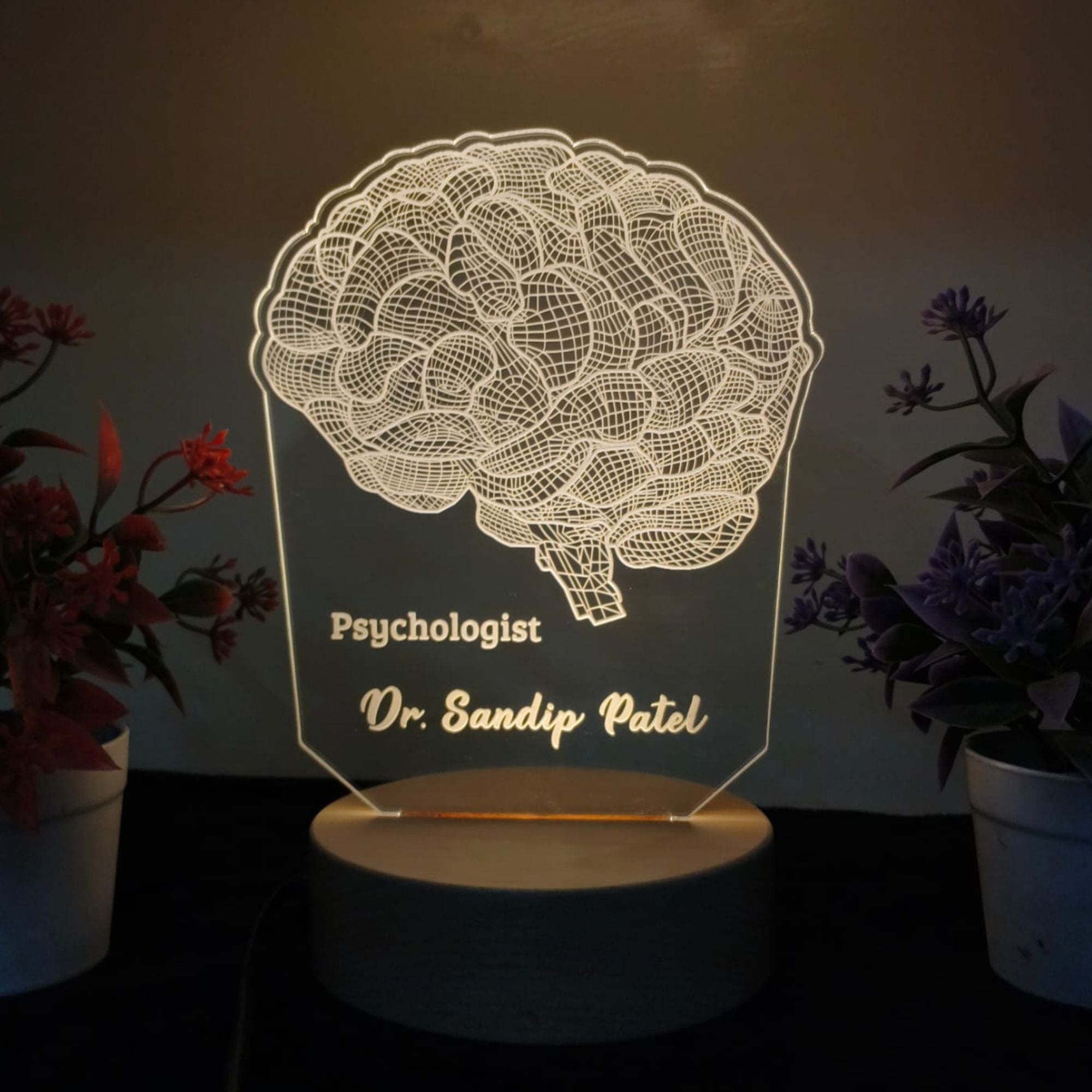 SHAYONA Personalized Night Light for Neurologist
